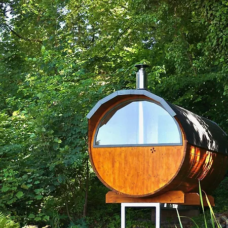 Boettger * 베르니게로데