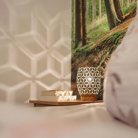 Boettger 베르니게로데